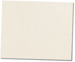 Paper texture cardboard background close-up. Cream light grunge old paper surface texture