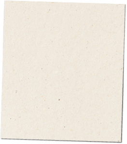 Paper texture cardboard background close-up. Cream light grunge old paper surface texture