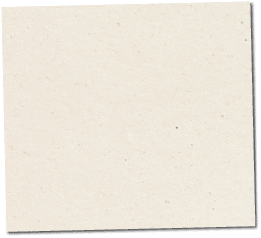 Paper texture cardboard background close-up. Cream light grunge old paper surface texture