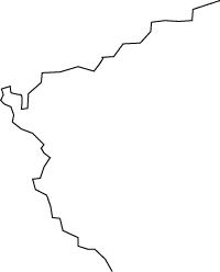 Polygon