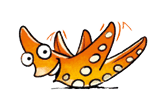 Seestern