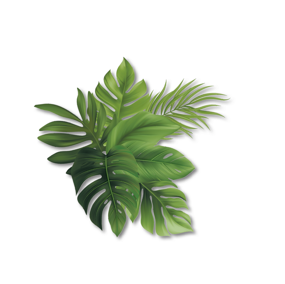 blatt-3