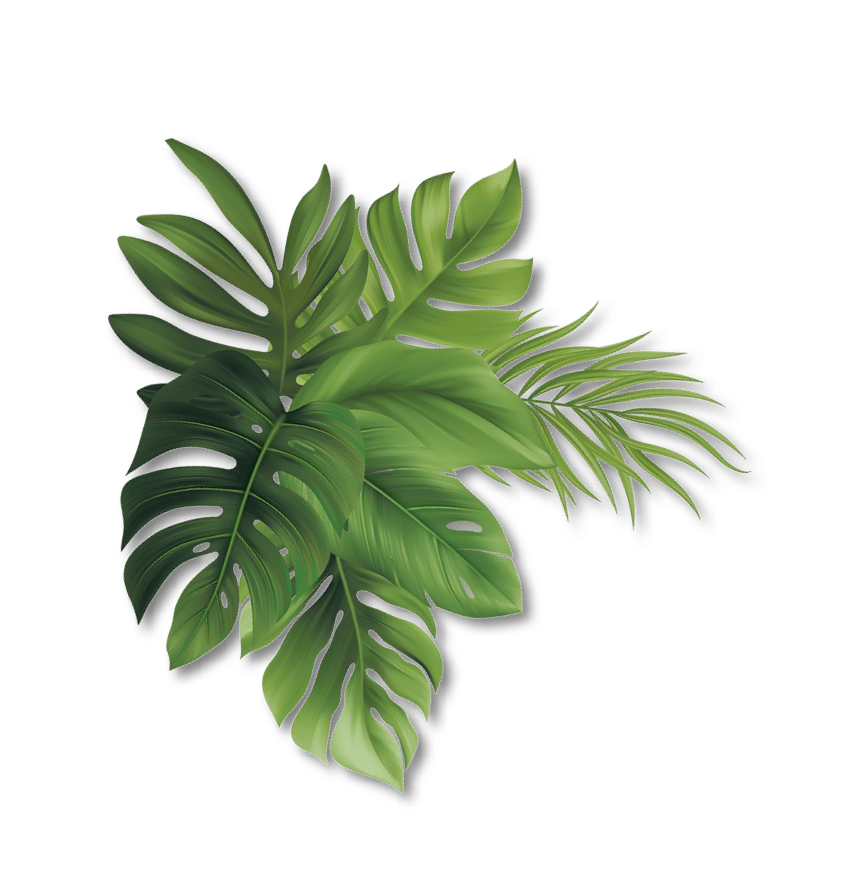 blatt-4