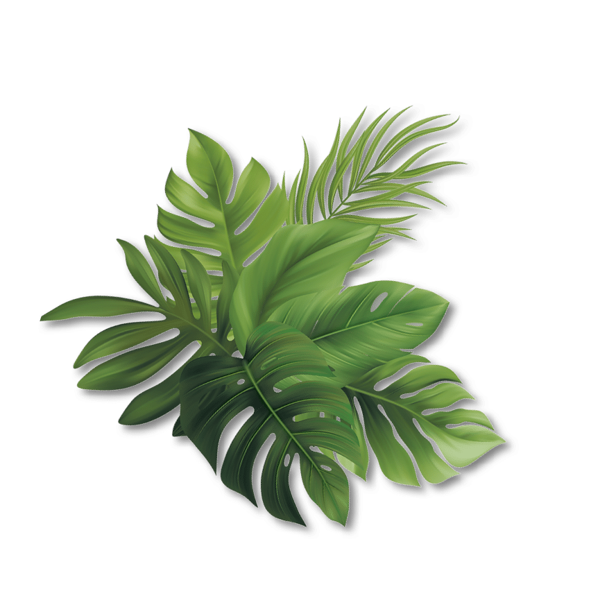 blatt-6