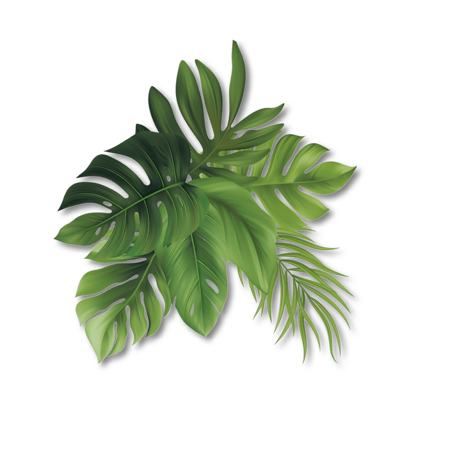 blatt-7