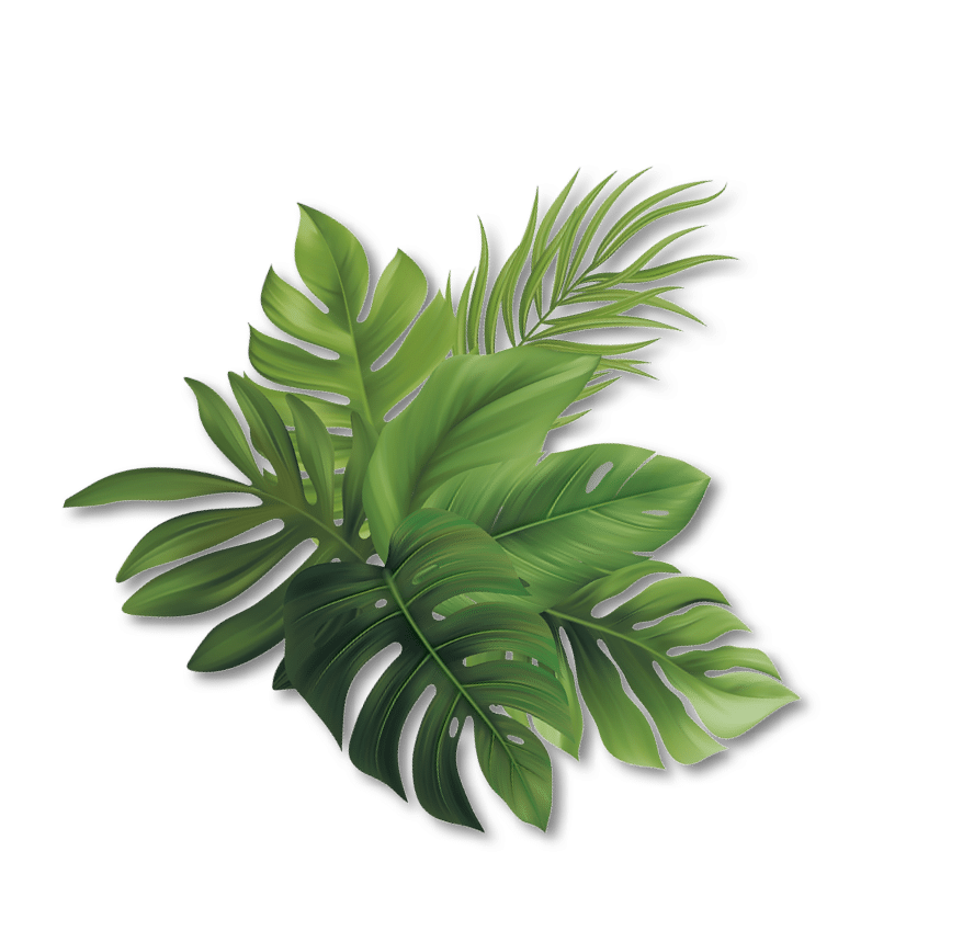 blatt-10