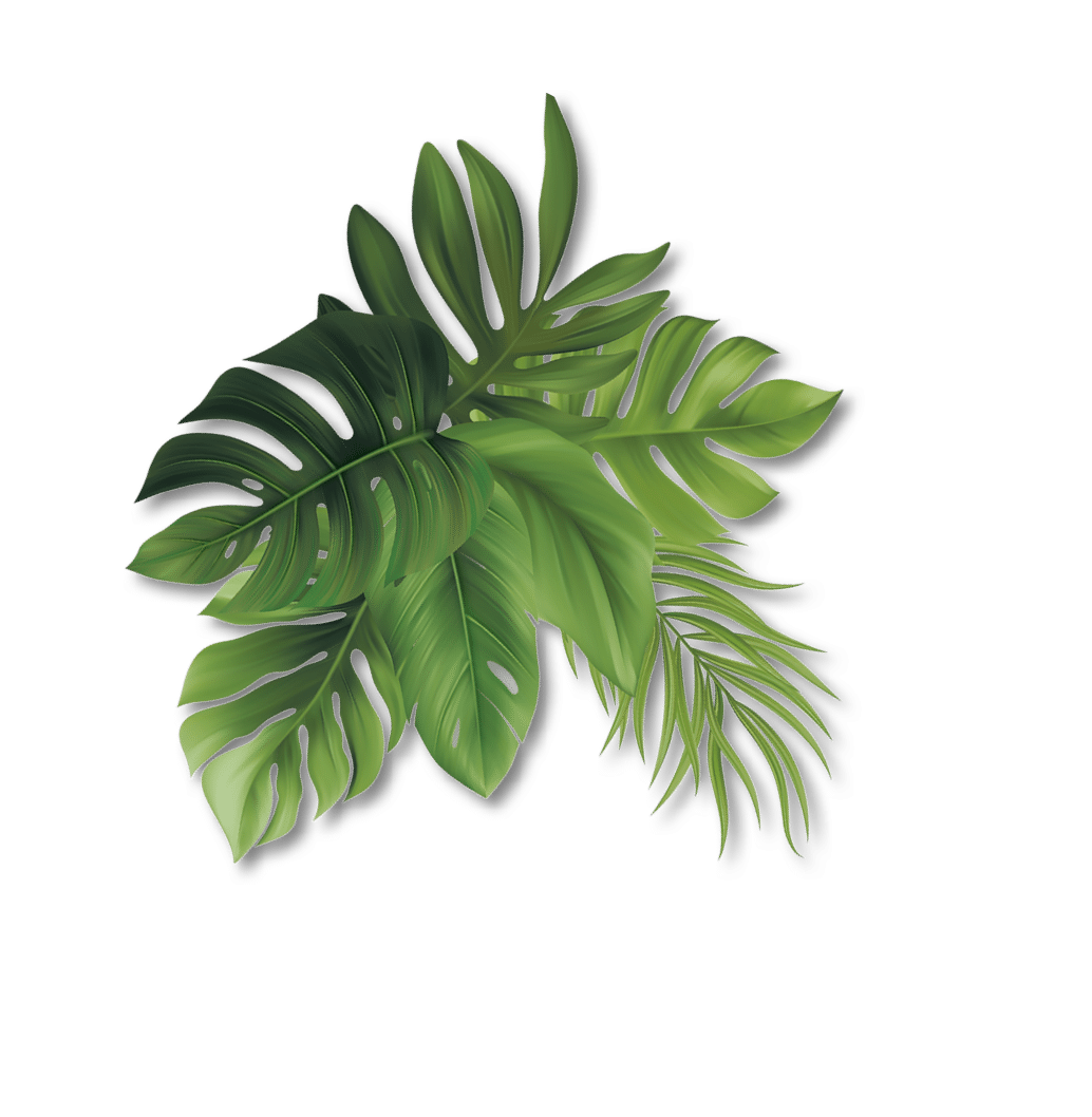 blatt-11