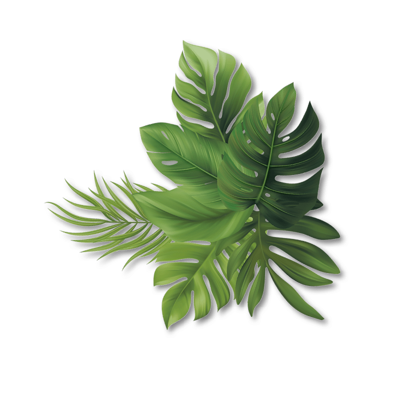 blatt-12