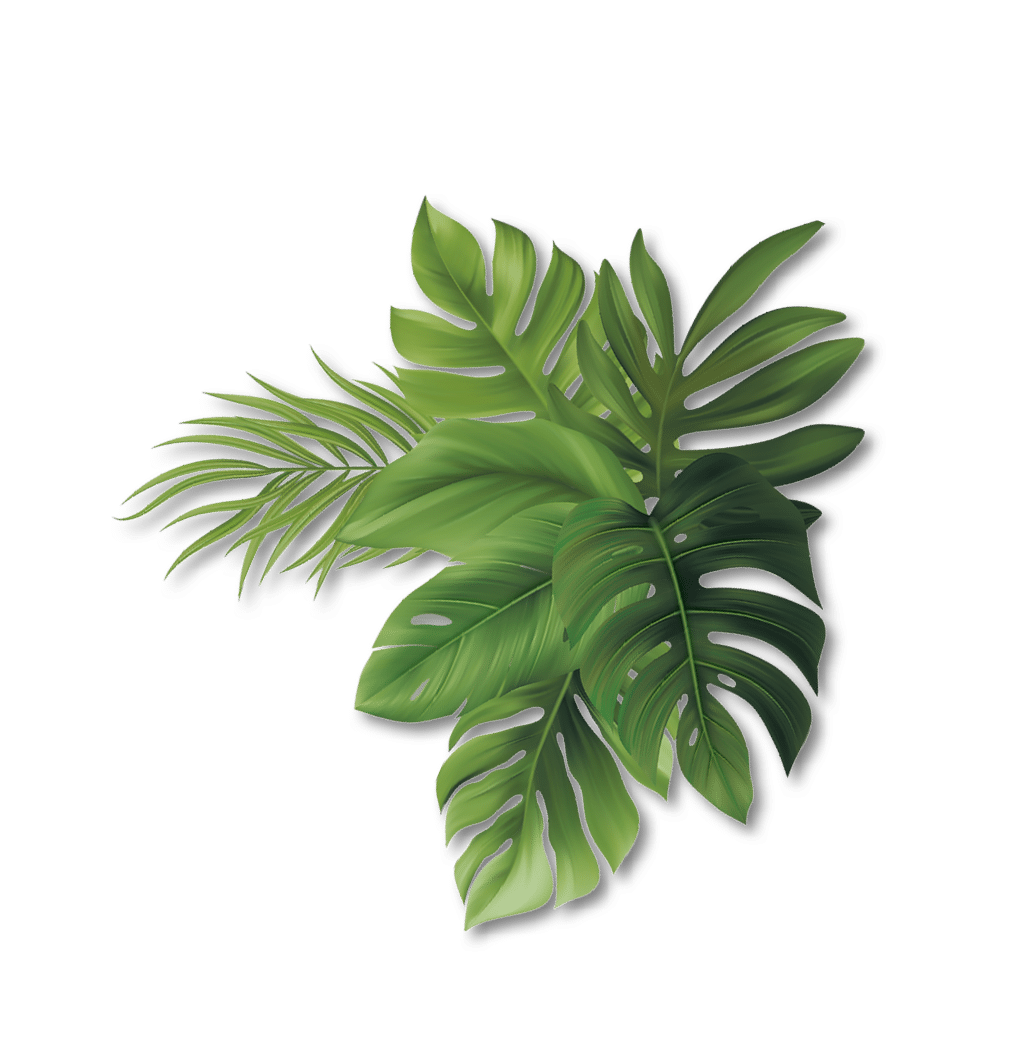 blatt-13