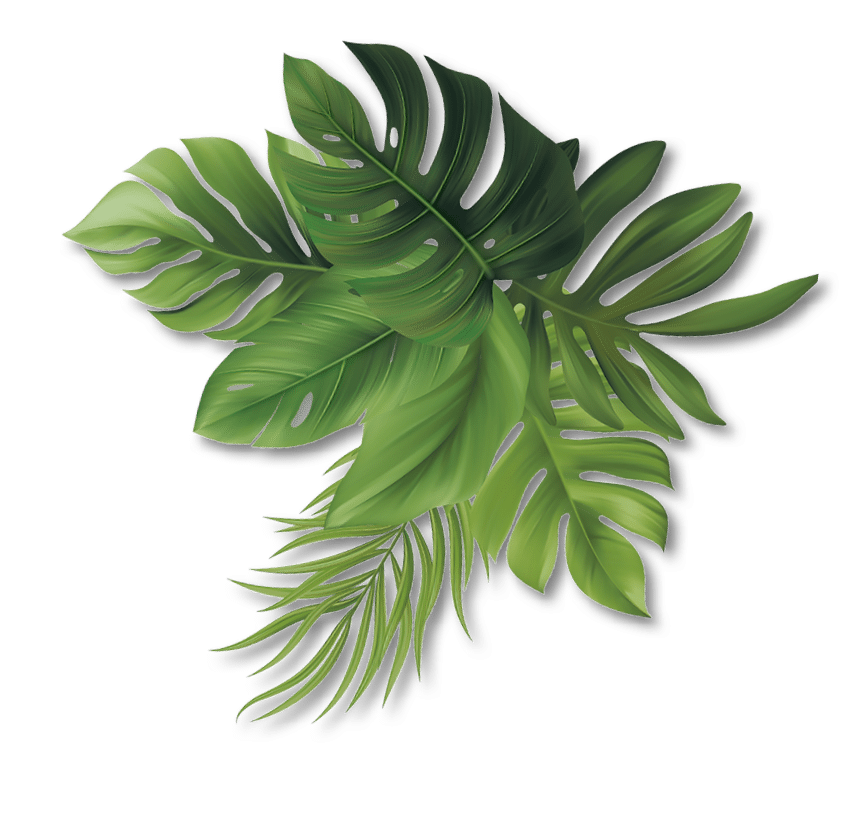 blatt-16
