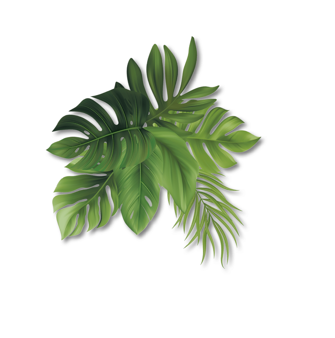 blatt-17