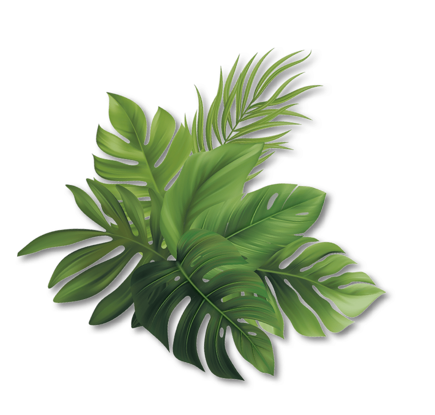 blatt-18