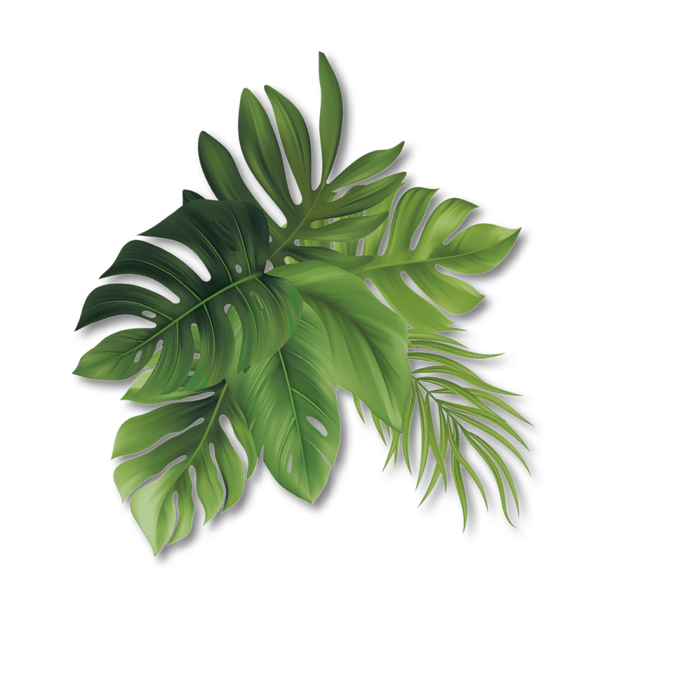 blatt-19
