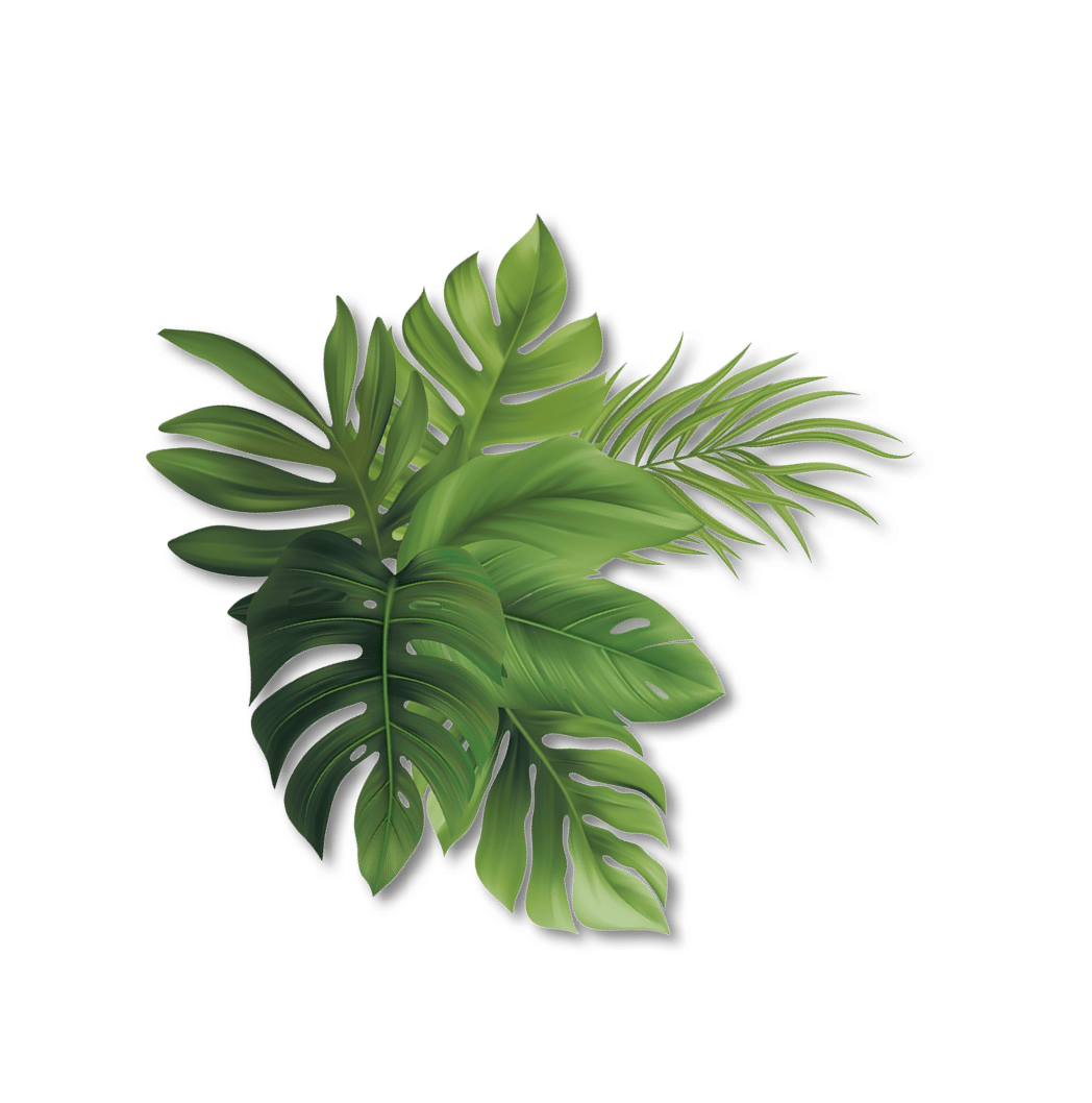 blatt-22