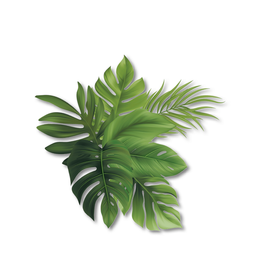 blatt-28